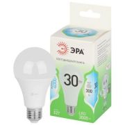 Лампа светодиодная GREEN LINE A65-30W-840-E27 GL 30Вт груша 4000К яркий свет бел. E27 Эра Б0067144