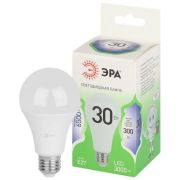 Лампа светодиодная GREEN LINE A65-30W-865-E27 GL 30Вт груша 6500К свет холод. E27 Эра Б0067145